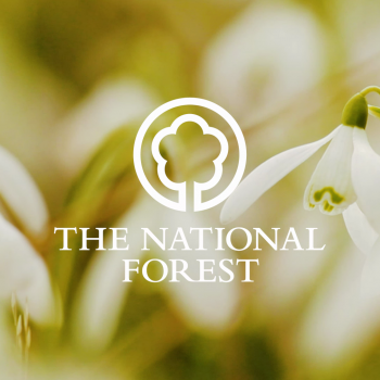 National Forest – Dimminsdale Snowdrops