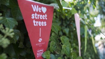 The Woodland Trust – Protecting Street Trees